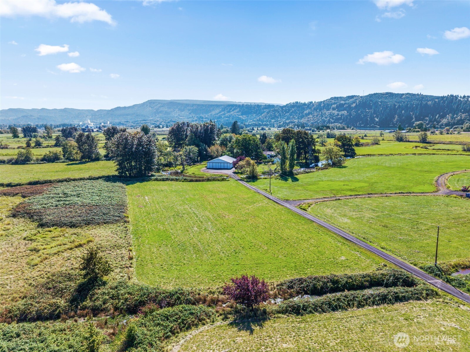 0 Hendrickson Road Cathlamet, WA 98612 - Photo 12 of 17 Gallery Image 12