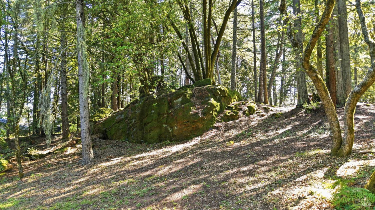 17375 Willow Creek Road Occidental, CA 95465 - Photo 81 of 94