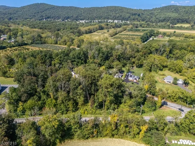an aerial view of residential houses with outdoor space and trees