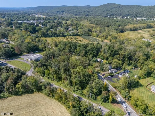 an aerial view of forest