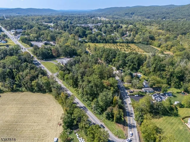 an aerial view of forest