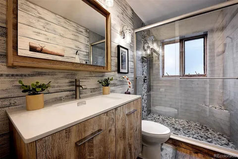 a bathroom with a sink a toilet and shower