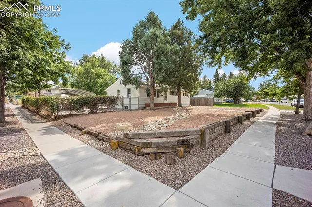 a view of a park with large trees