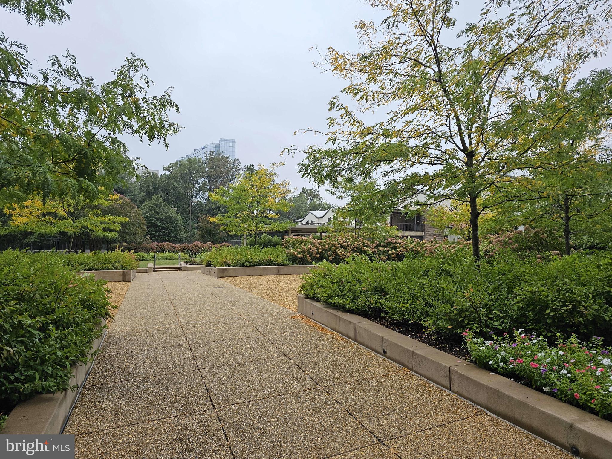 1800 Old Meadow Road, Unit 621 McLean, VA 22102 - Photo 27 of 28 a view of a garden with pathway