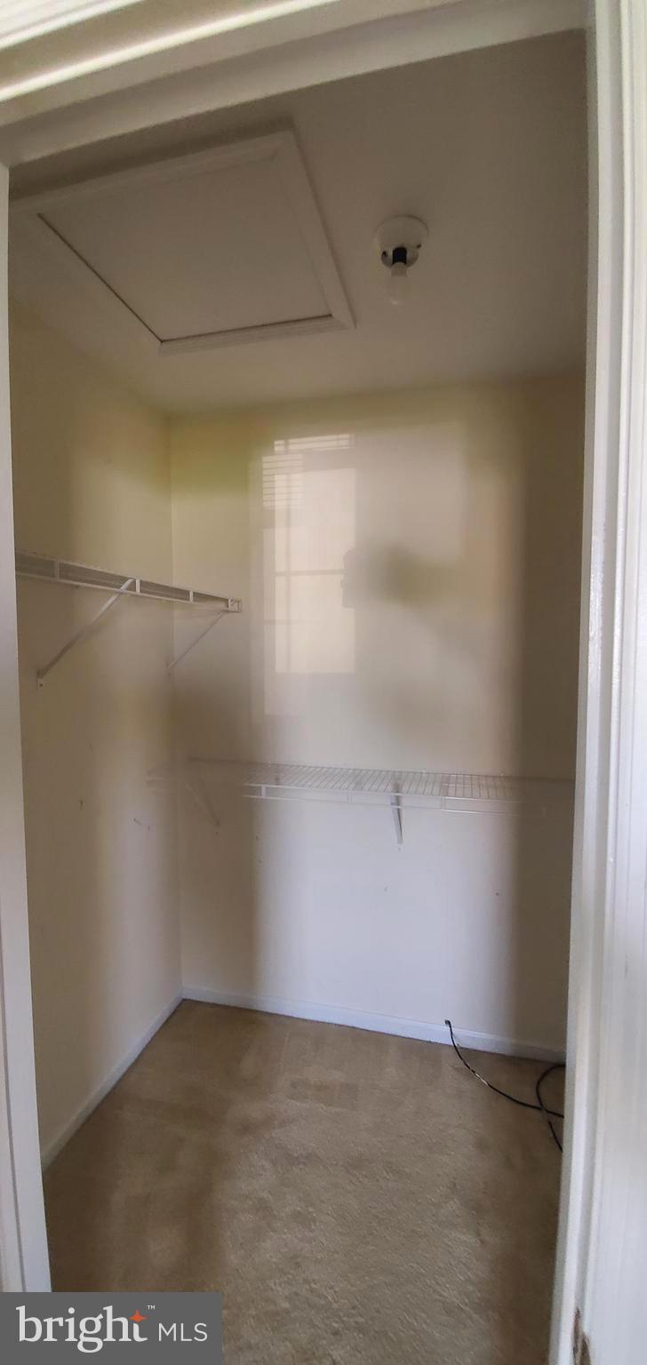 2927 Newport Way Sinking Spring, PA 19608 - Photo 14 of 24 walk in closet