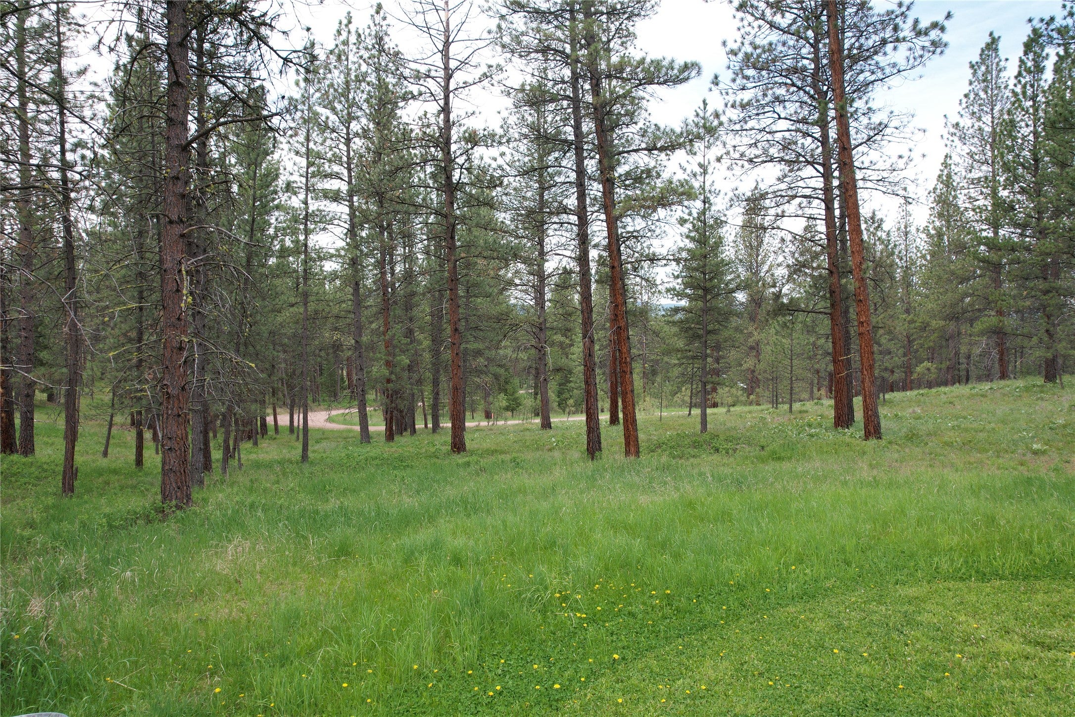 28273 Blixit Creek Road Bonner, MT 59823 - Photo 32 of 48 Gallery Image 32