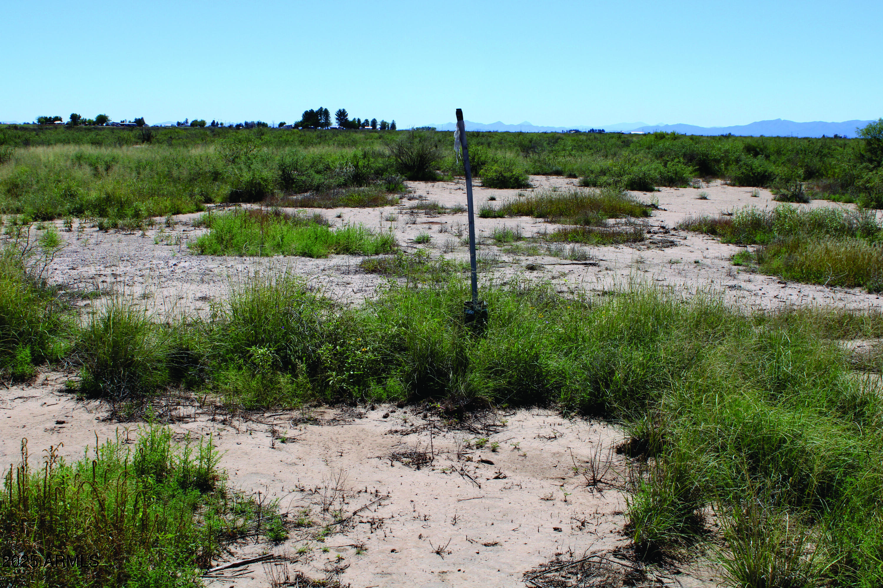 36.97-acre West Latimer Road, Unit 4 McNeal, AZ 85617 - Photo 18 of 23 IMG_0627.JPG