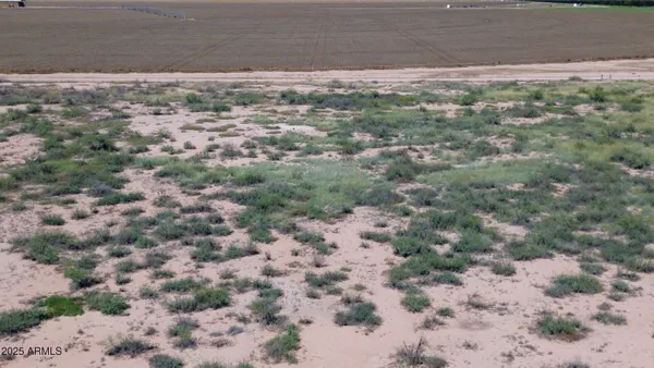 a view of a yard with a plants of house