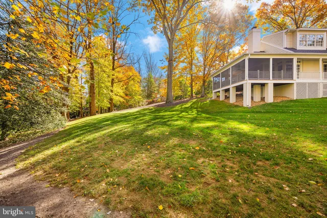 a view of yard with trees
