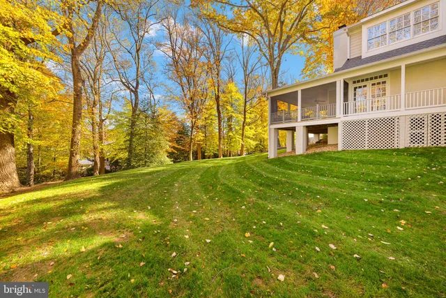 a view of a backyard with large trees