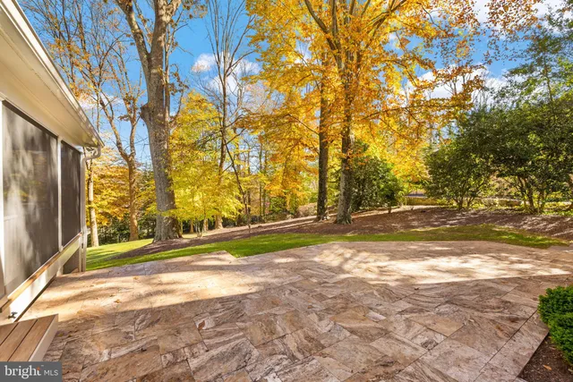 a view of road with large trees