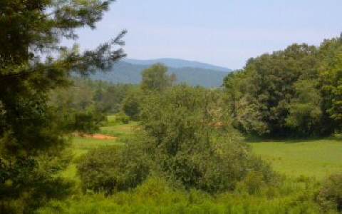 24.23 Acres Blue Ridge Blue Ridge, GA 30513 - Photo 1 of 1 Main View
