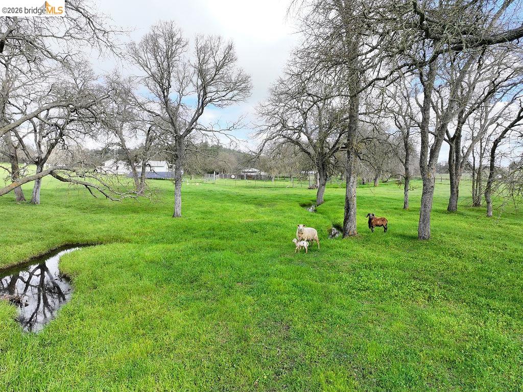7550 Adams Road Valley Springs, CA 95252 - Photo 35 of 38 View of grassy yard