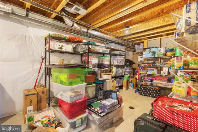 a view of a pathway both side of yard