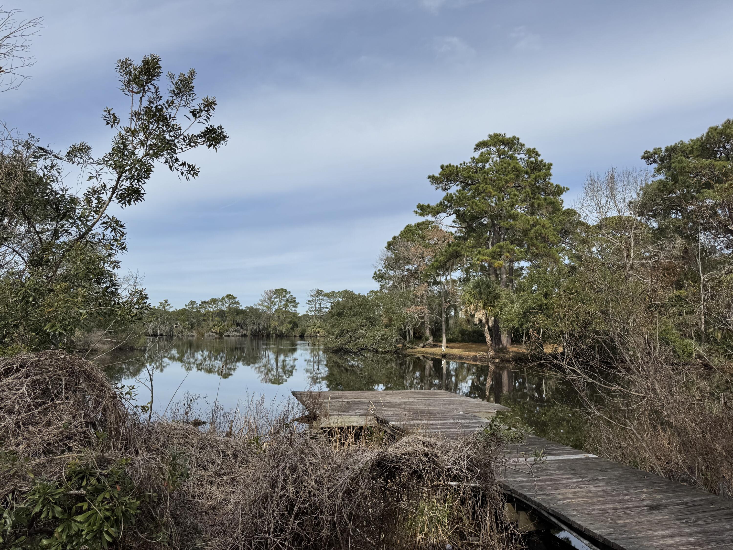 816 Bose Court Mount Pleasant, SC 29464 - Photo 30 of 32 IMG_3070