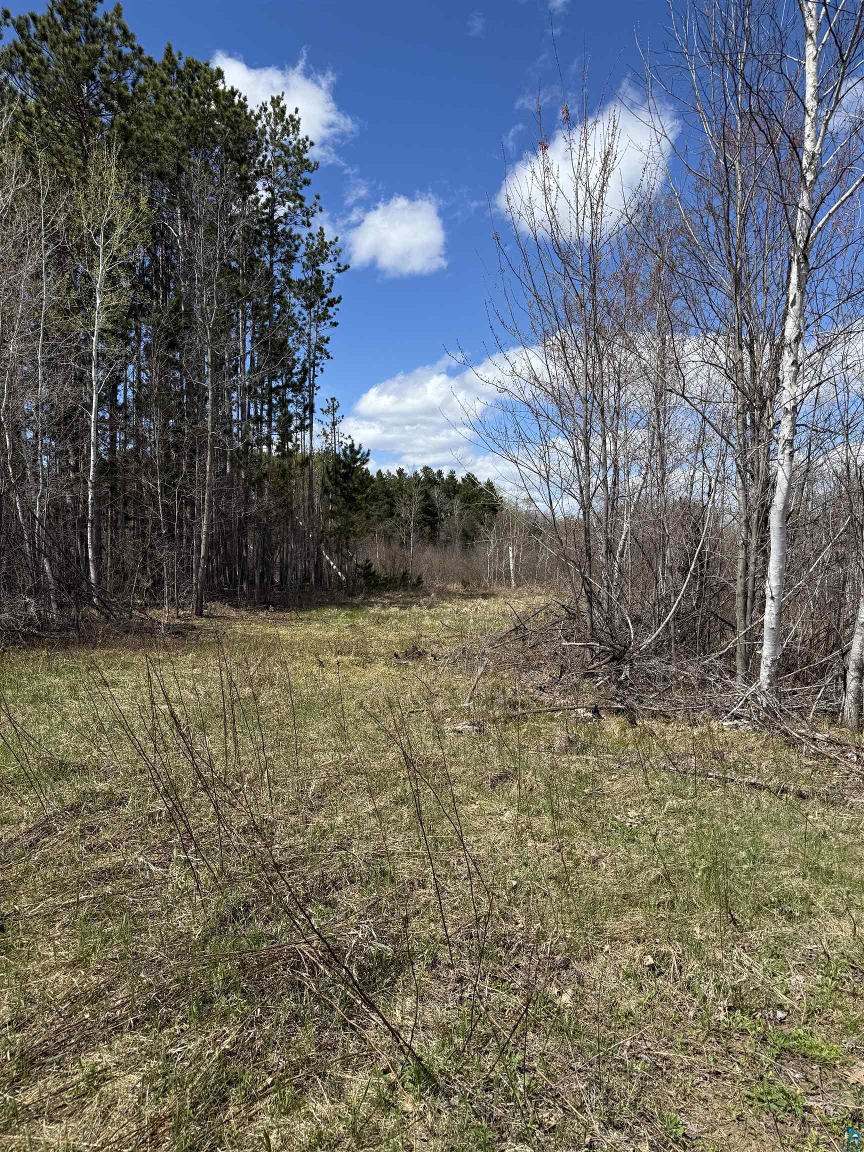37590 Degerstrom Road Askov, MN 55704 - Photo 37 of 53 Expansive wooded lot featuring mature trees and a clear blue sky with scattered clouds