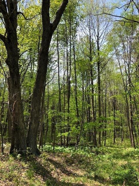0 Birch Street Spring Church, PA 15686 - Photo 9 of 11