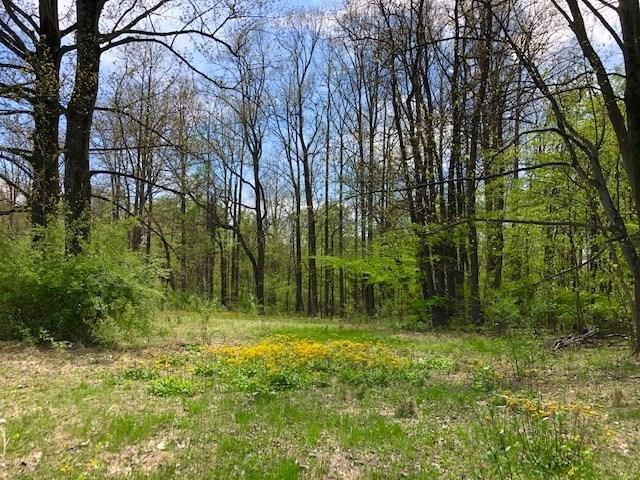 0 Birch Street Spring Church, PA 15686 - Photo 10 of 11