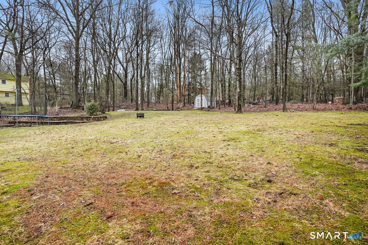 46 Little Brook Lane Newtown, CT 06470 - Photo 27 of 27 a view of pool with trees