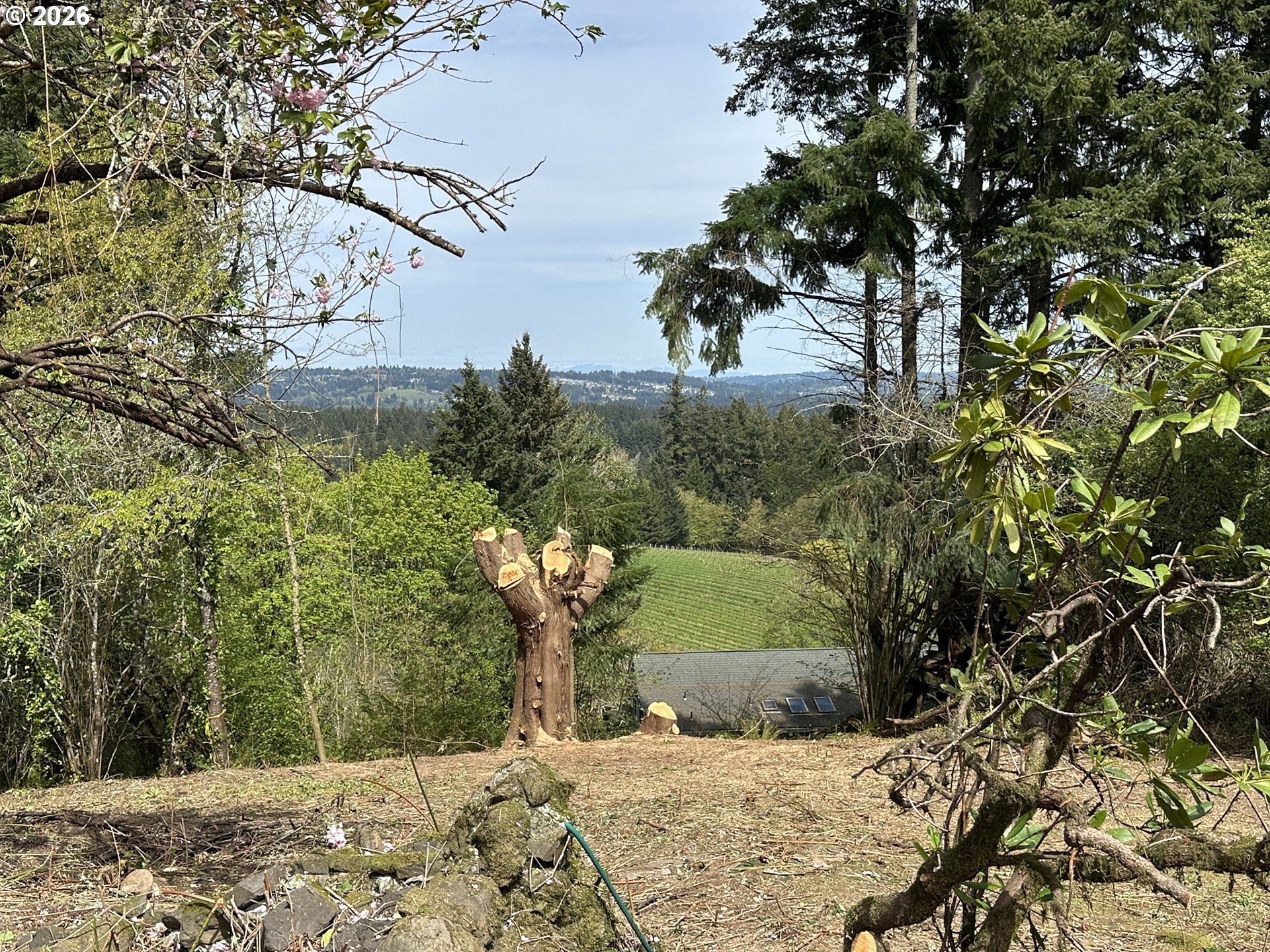 20431 Southwest Edy Road Sherwood, OR 97140 - Photo 10 of 29