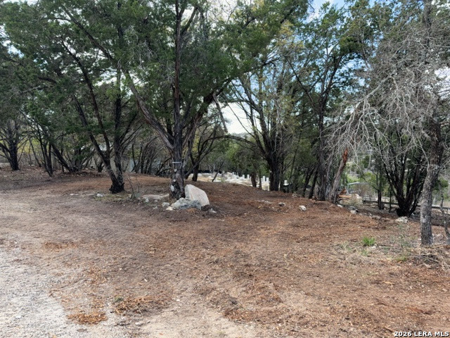 14609 Custer Court Austin, TX 78734 - Photo 3 of 5 a view of a tree in the middle of a yard
