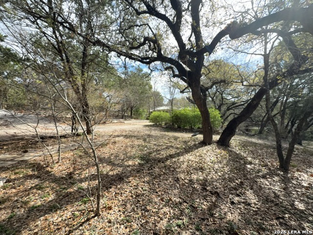 14609 Custer Court Austin, TX 78734 - Photo 4 of 5 a view of a yard with plants and trees