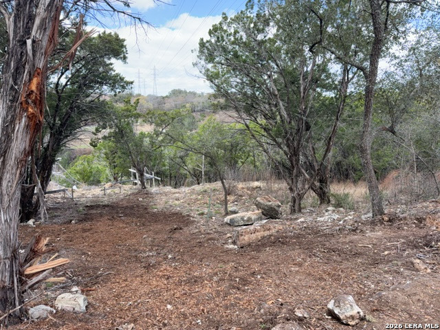 14609 Custer Court Austin, TX 78734 - Photo 5 of 5 a view of outdoor space with trees