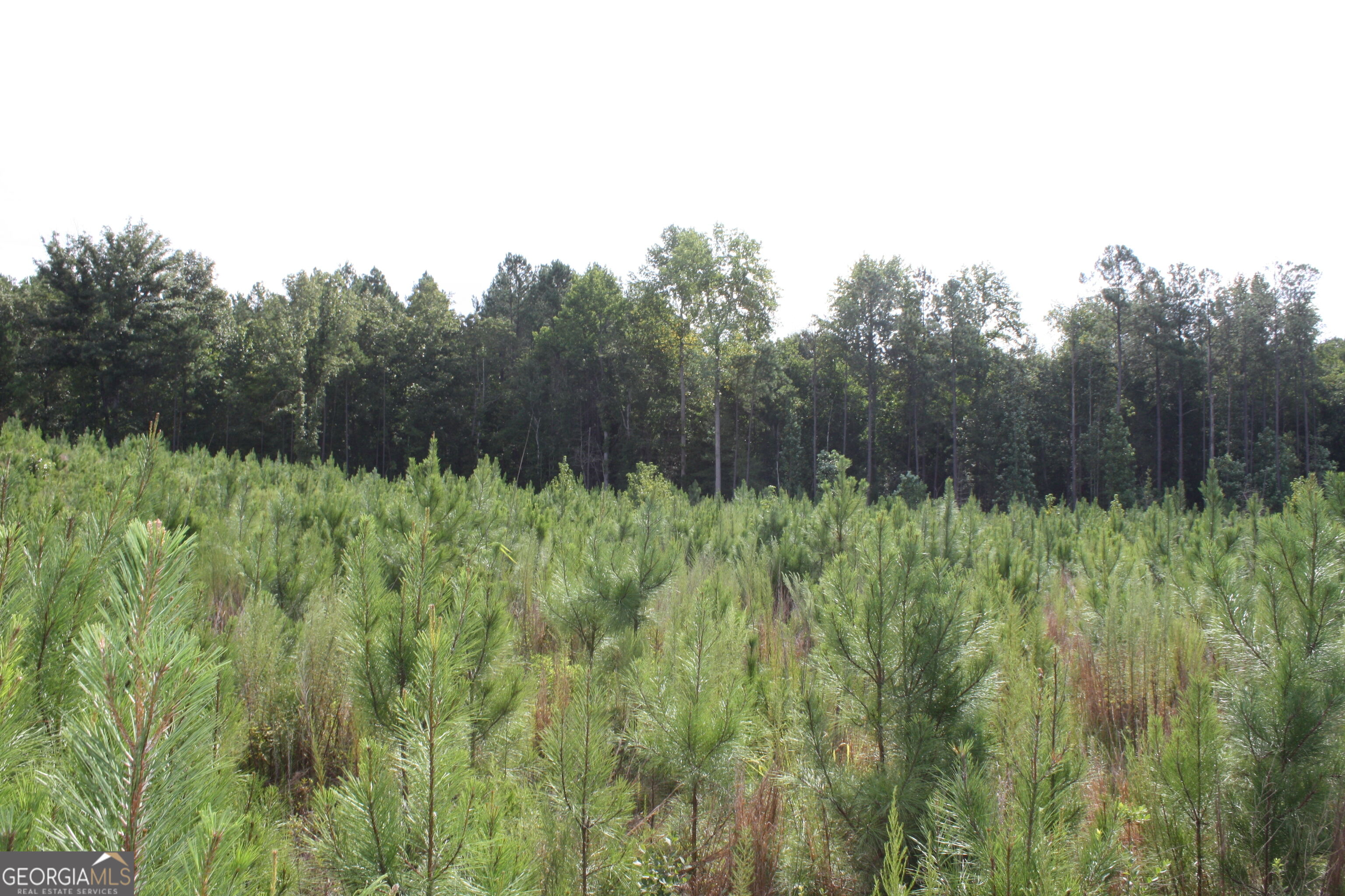 0 Balerma Church Road, Unit TRACT 1 Sparta, GA 31087 - Photo 18 of 21 Gallery Image 18