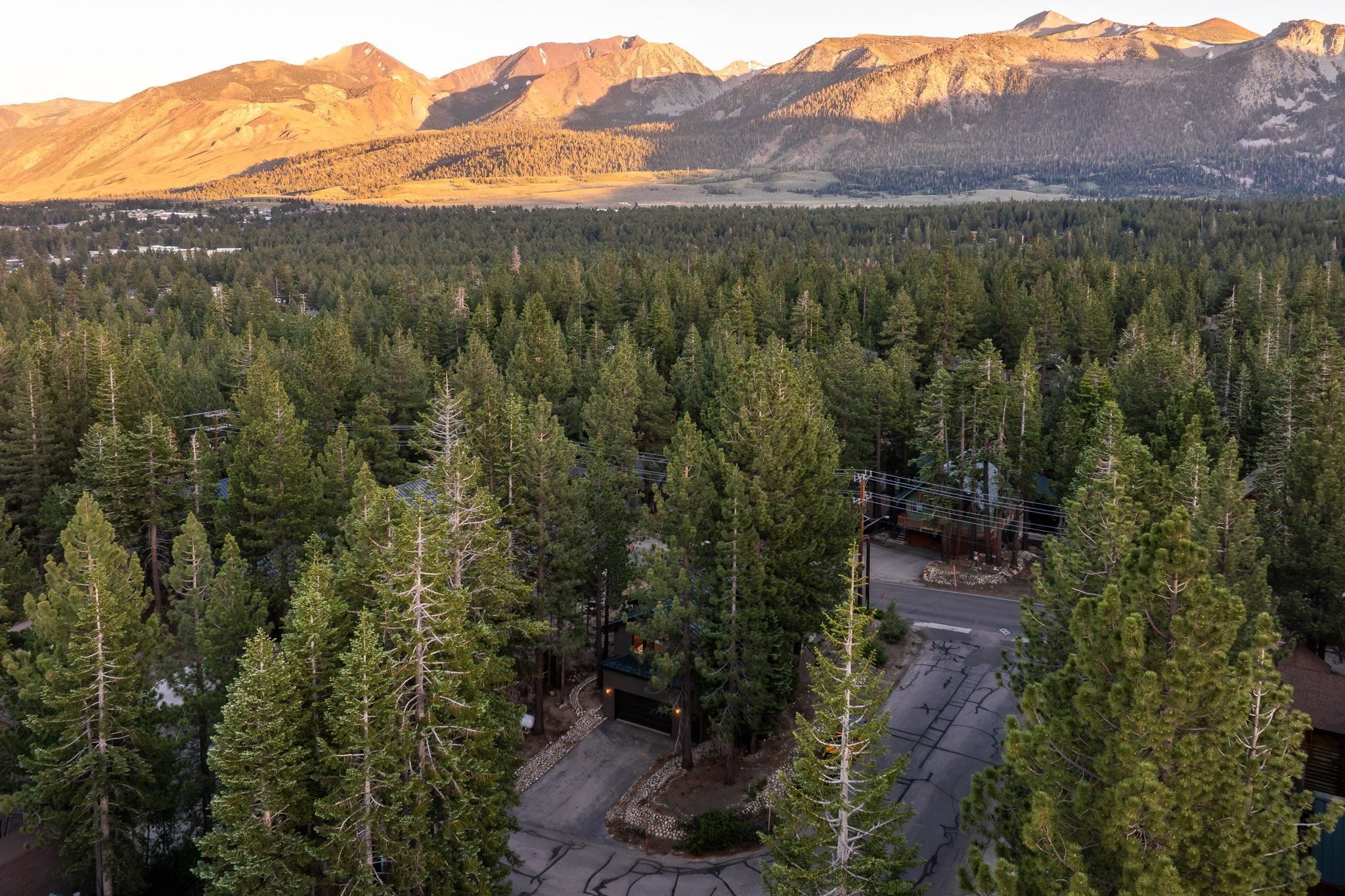 2 Holiday Way Mammoth Lakes, CA 93546 - Photo 33 of 37 a view of a mountain with an outdoor space