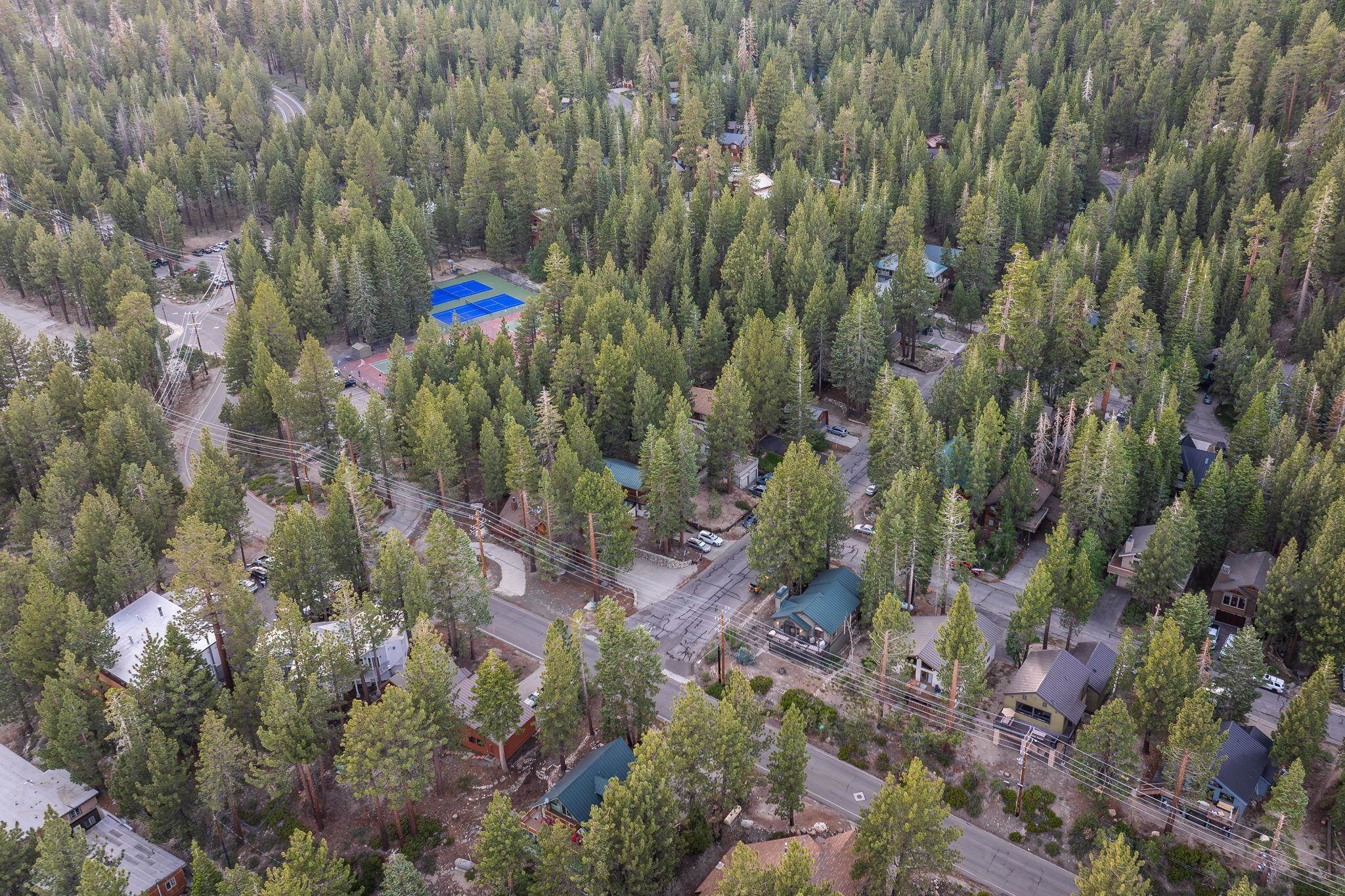 2 Holiday Way Mammoth Lakes, CA 93546 - Photo 35 of 37 a view of a flower in a garden