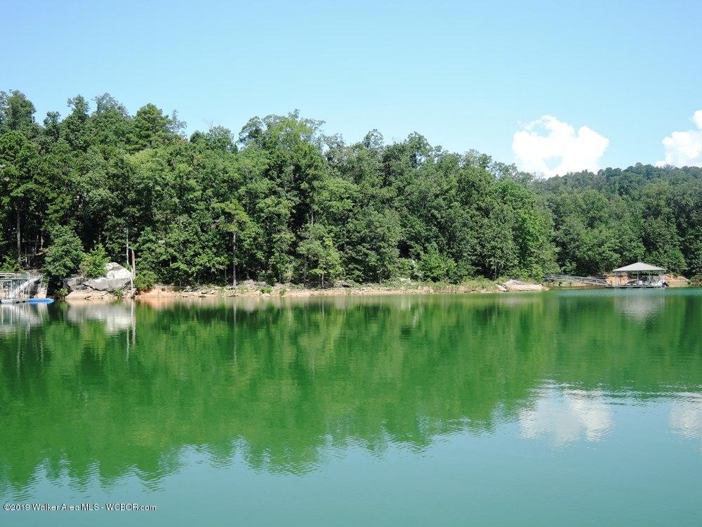 891 County Road Arley, AL 35541 - Photo 3 of 8 Gallery Image 3