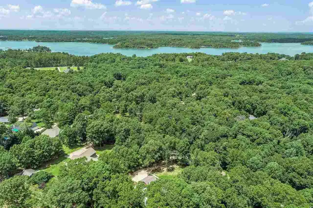 an aerial view of residential houses with outdoor space and trees