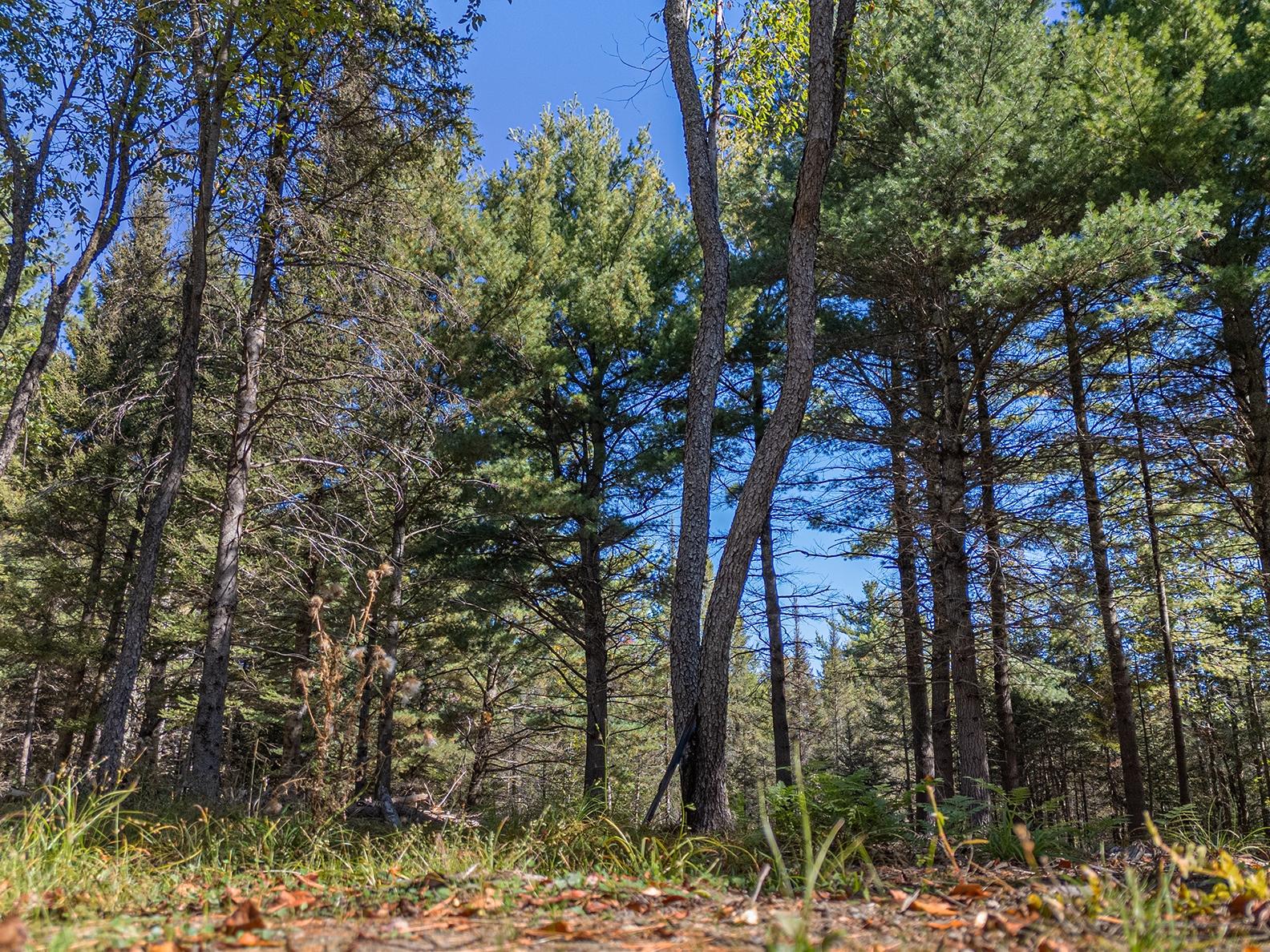 3922 Tre Fiske Road Rhinelander, WI 54501 - Photo 38 of 38 Gallery Image 38