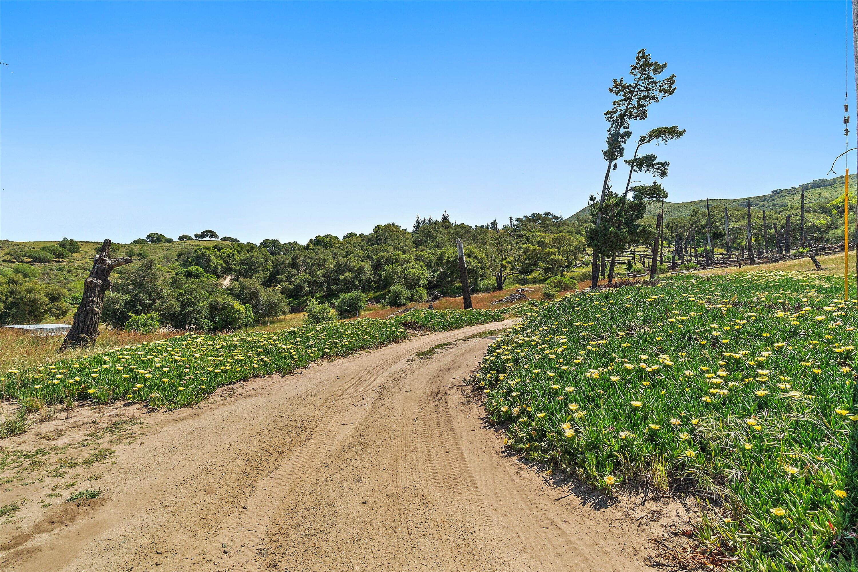 6060 Highway 246 Lompoc, CA 93436 - Photo 8 of 39 a picture of a yard and mountain view