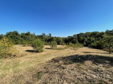 2 Alexandras Way Cleves, OH 45002 - Photo 4 of 16
