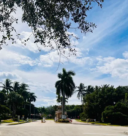 a view of a parking space and palm tree