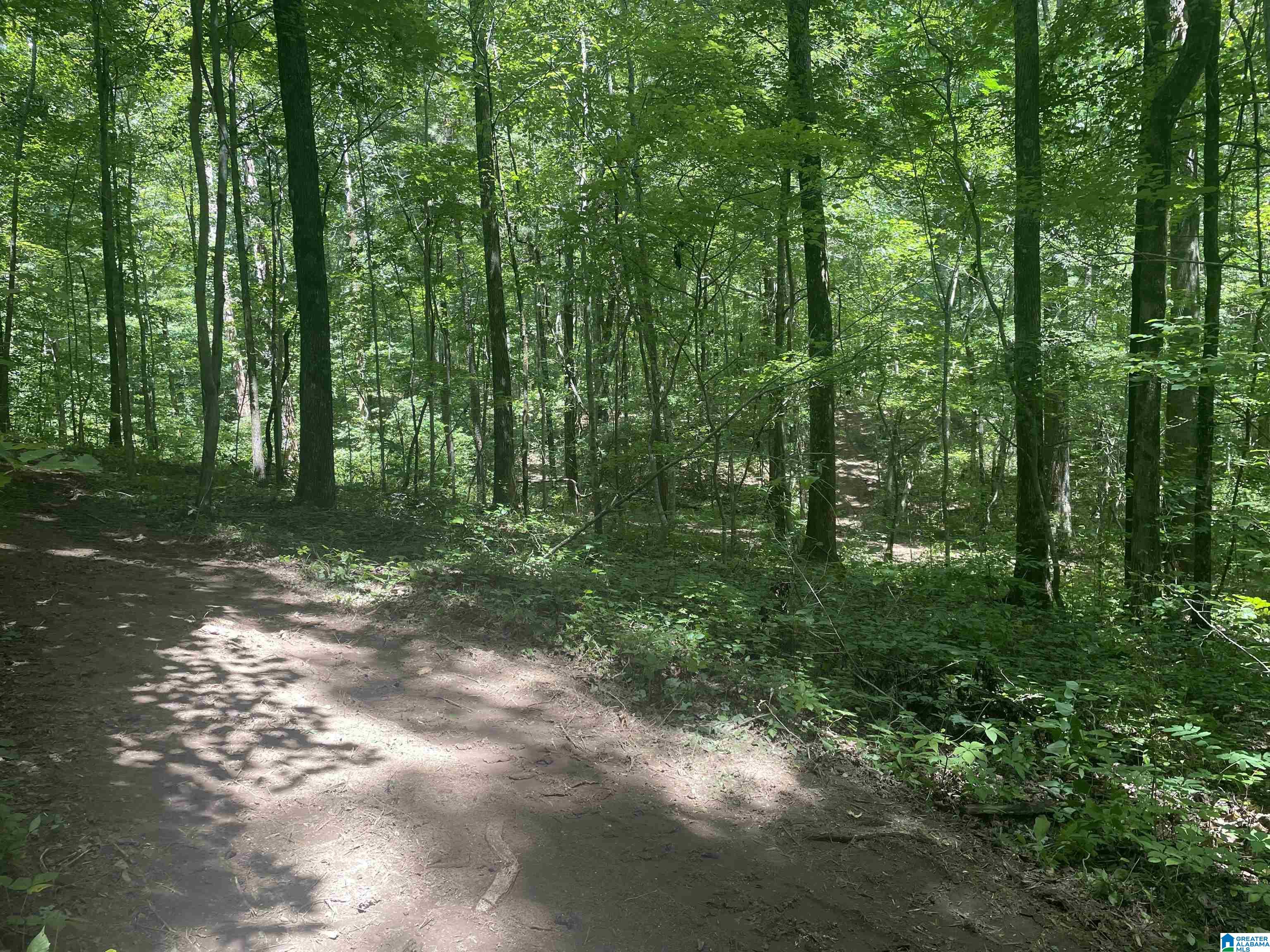 6740 Tucker Brown Road, Unit 9 75 Pinson, AL 35126 - Photo 40 of 44