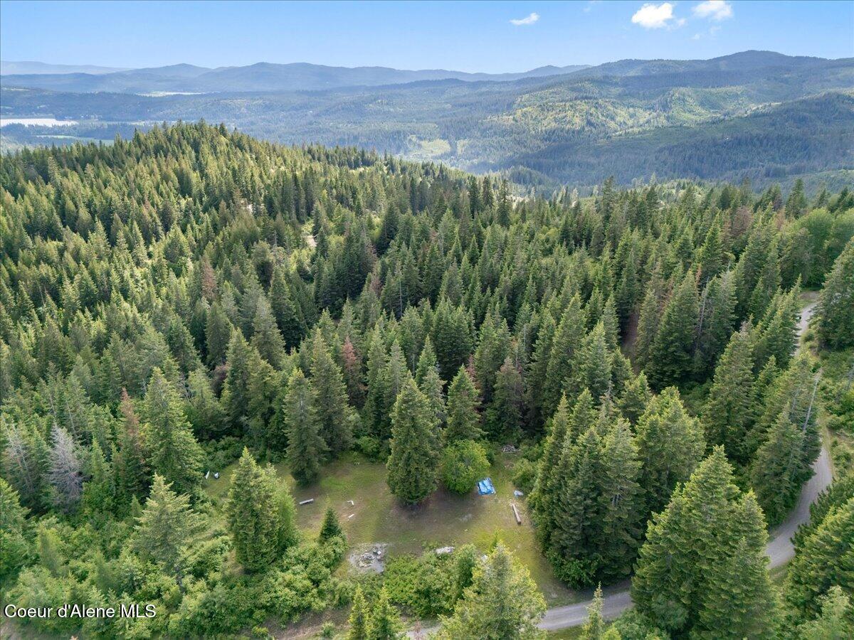 17378 North Freddi Road Rathdrum, ID 83858 - Photo 80 of 83 80-Aerial Back of Home