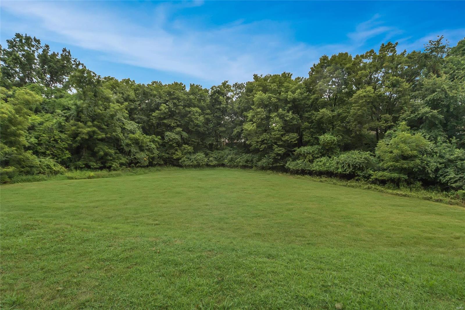 673 Walnut Point Court Ballwin, MO 63021 - Photo 6 of 36