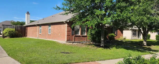 a view of a backyard with a tree