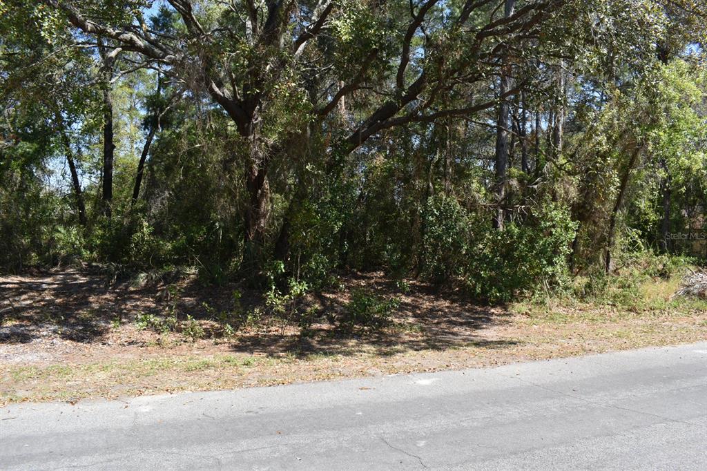 10311 Usher Street Spring Hill, FL 34608 - Photo 1 of 1