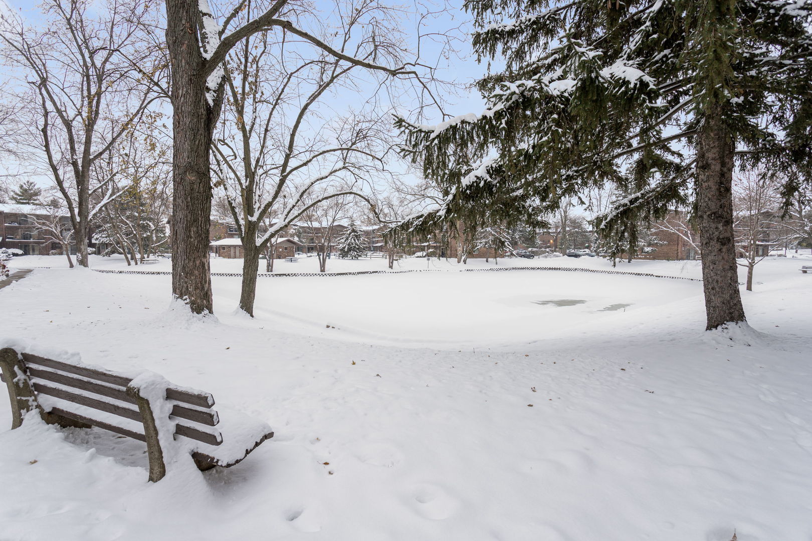 2505 Spring Street, Unit 3304 Woodridge, IL 60517 - Photo 16 of 17 a view of snow on the road