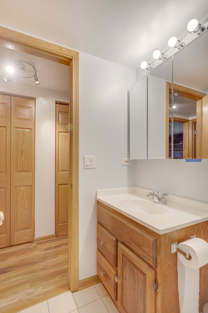 2505 Spring Street, Unit 3304 Woodridge, IL 60517 - Photo 7 of 17 a bathroom with a sink vanity and a mirror