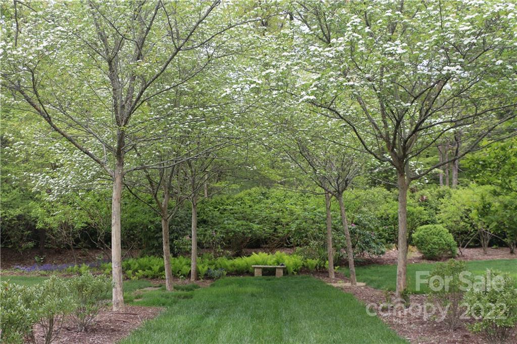 25 Busbee Road Asheville, NC 28803 - Photo 37 of 48 Gallery Image 37
