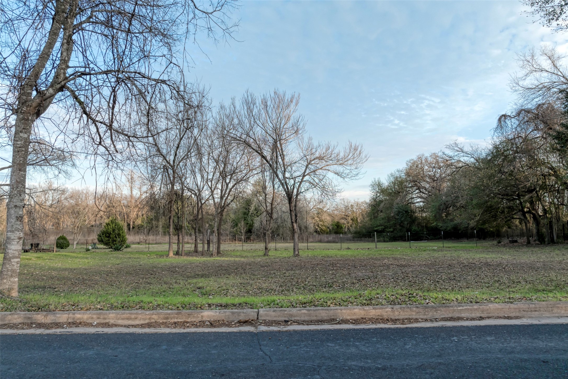 Lot 4 East Alamo Street Elgin, TX 78621 - Photo 6 of 14 a view of a park