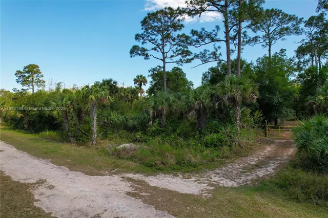 a view of a street with a tree