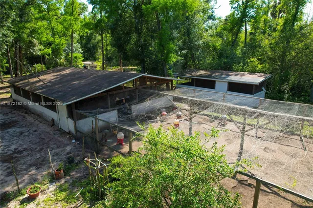 a view of a backyard with table and chairs potted plants and large tree