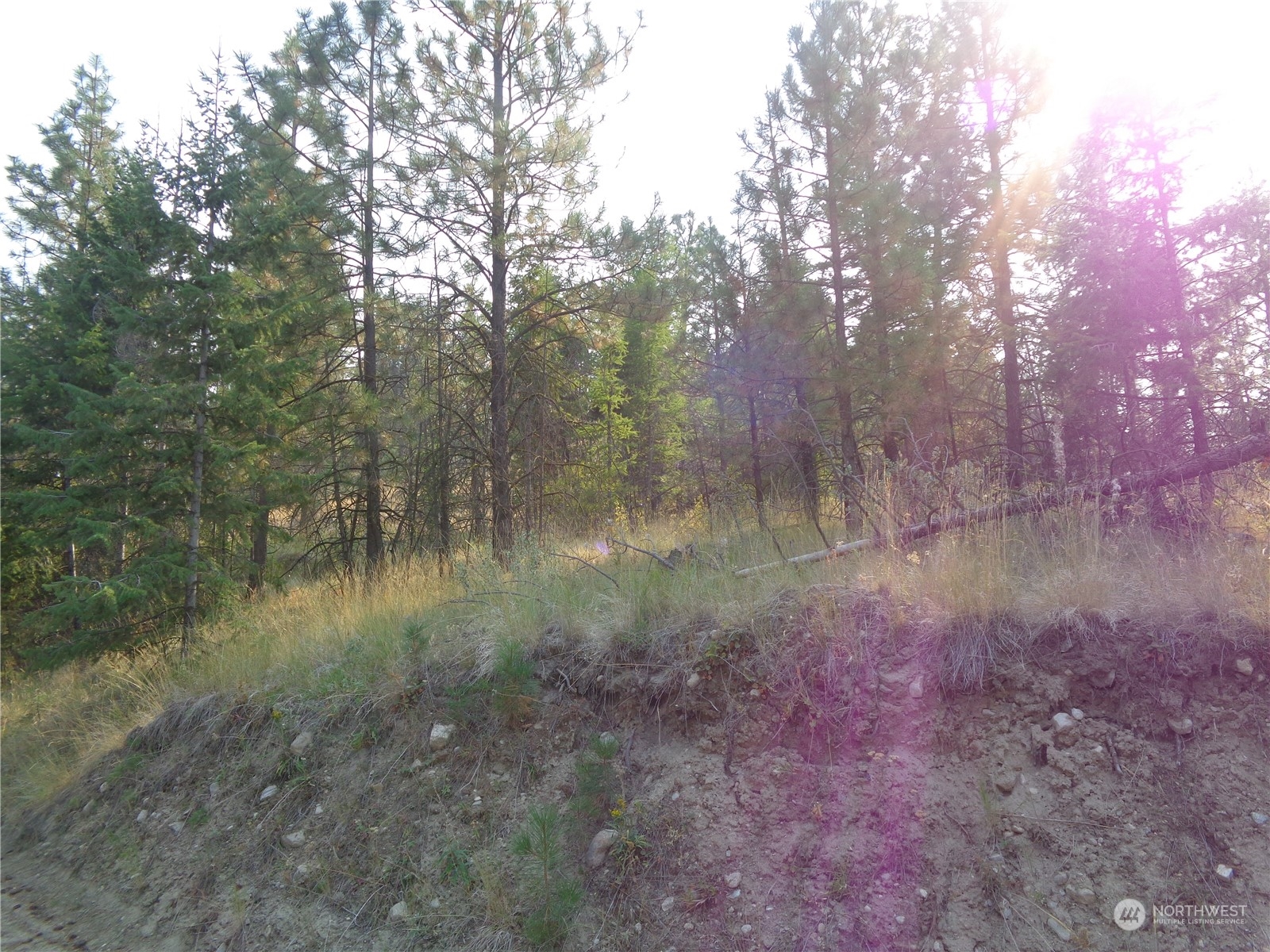 59-lot Red Feather Road Riverside, WA 98849 - Photo 3 of 7 Gallery Image 3