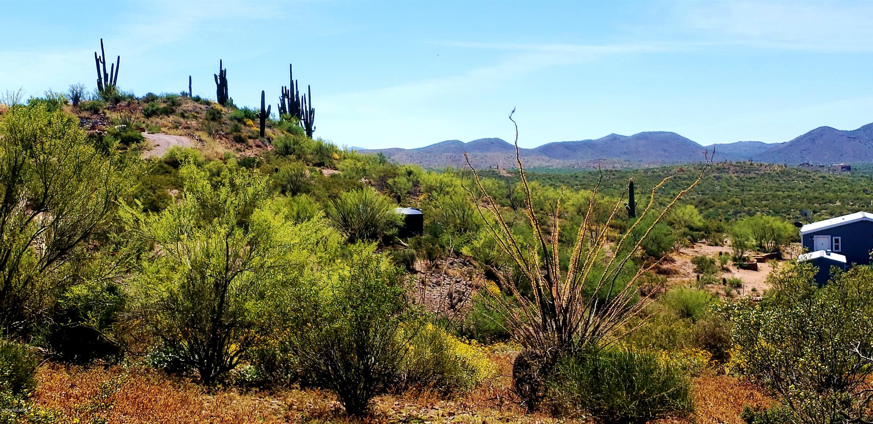 Tbd South Blazed Ridge Road, Unit C2 Tucson, AZ 85739 - Photo 21 of 37