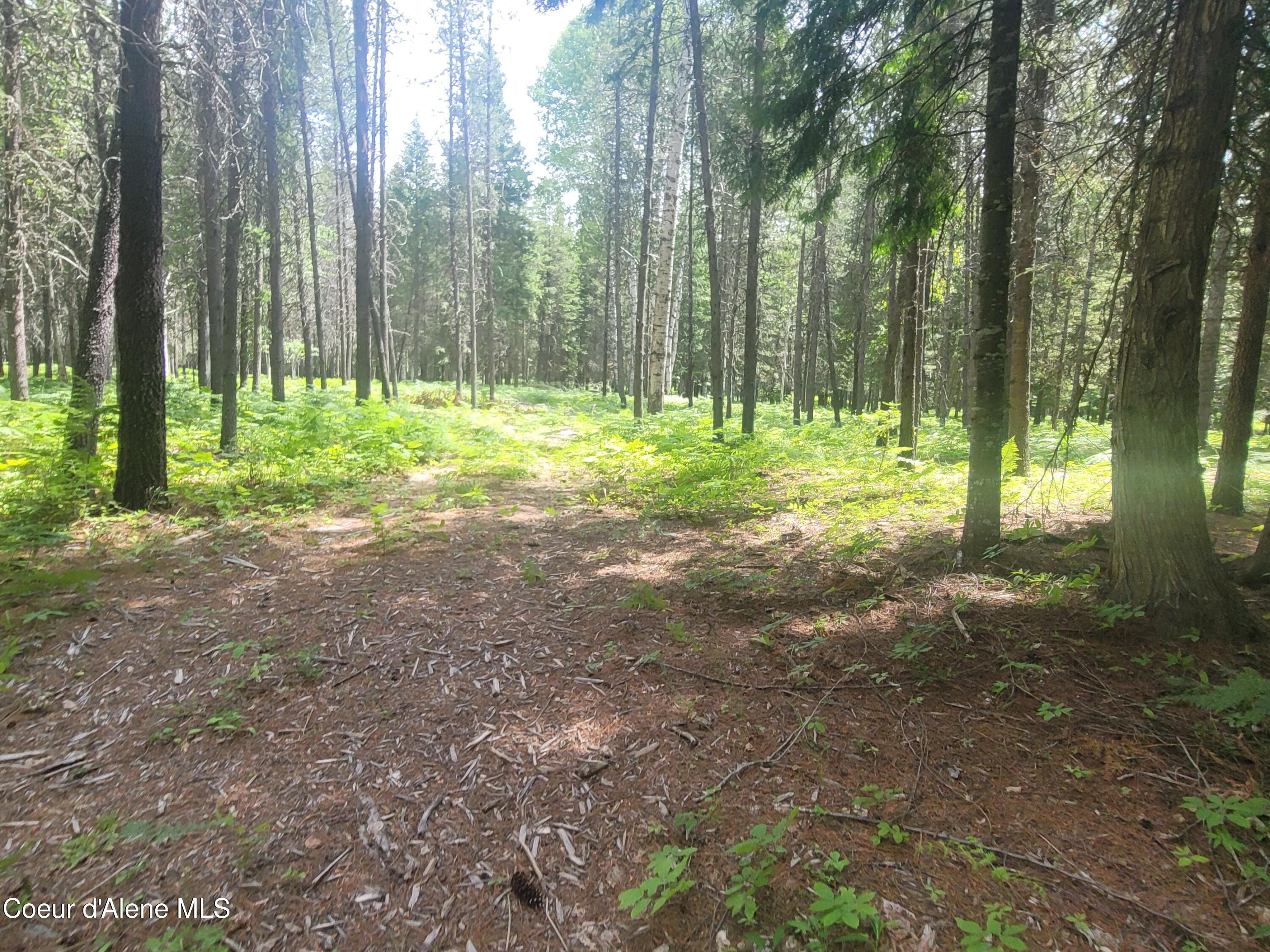 150 Ranch Road Naples, ID 83847 - Photo 11 of 33 20250626_120055